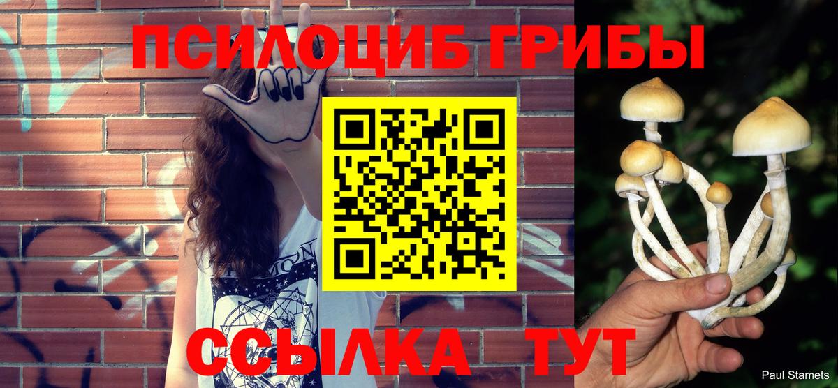 Псилоцибиновые грибы MAGIC MUSHROOMS Кандалакша